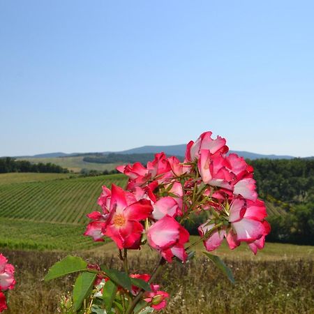 Agriturismo Cignanbianco Castellina in Chianti Exterior photo
