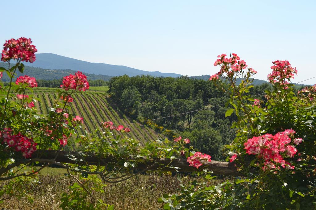 Agriturismo Cignanbianco Castellina in Chianti Exterior photo
