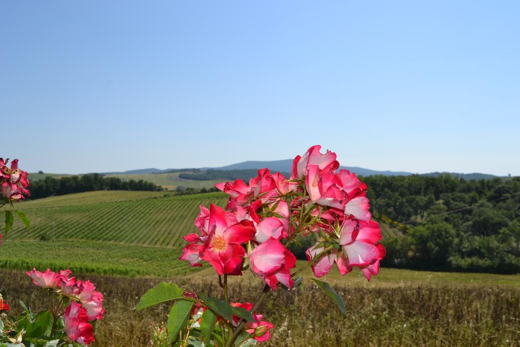 Agriturismo Cignanbianco Castellina in Chianti Exterior photo